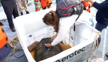 tortugo jorge