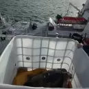 (Videos) Así fue la histórica liberación de Jorge, el tortugo que marcó a generaciones