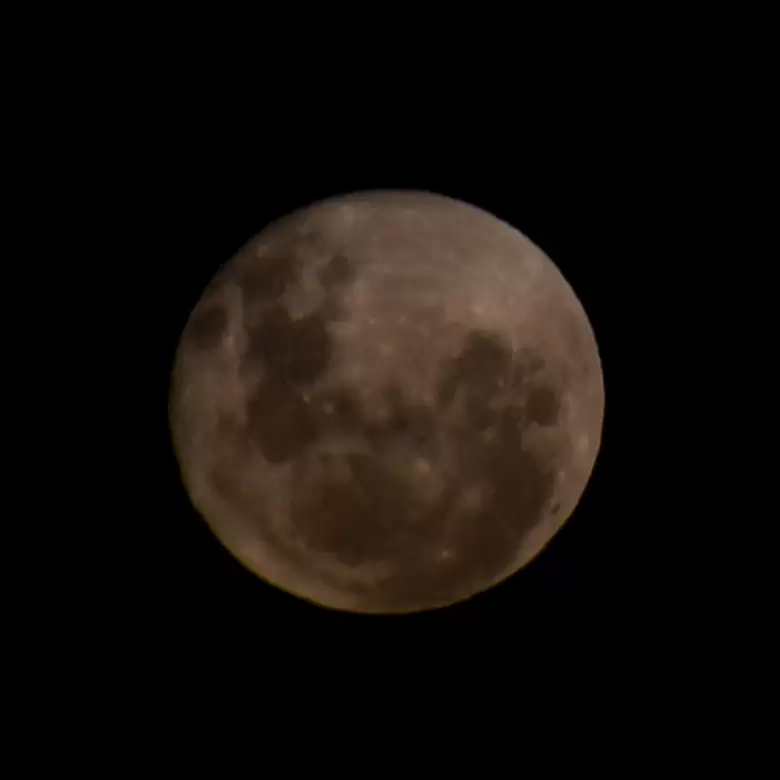 luna rosa
