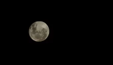 luna rosa