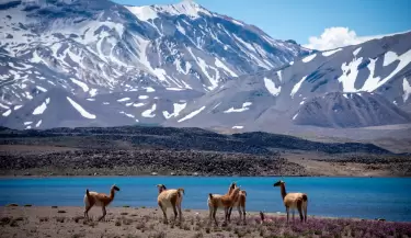 laguna del diamante