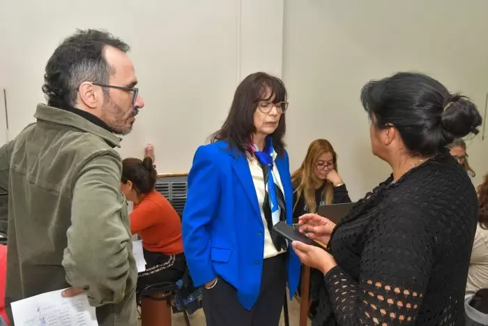 docentes