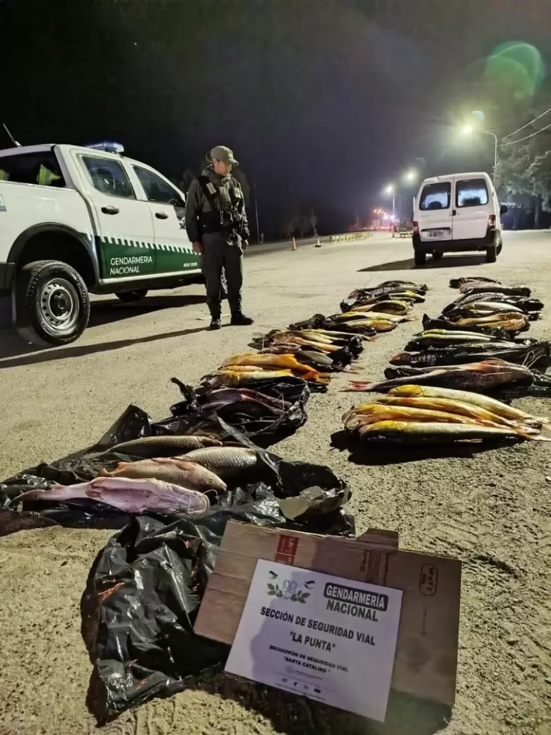 Operativo de Gendarmeria
