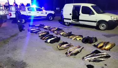 Operativo de Gendarmeria
