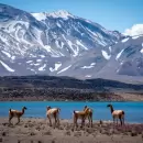 La Laguna del Diamante estará habilitada para visitas diurnas durante esta Semana Santa
