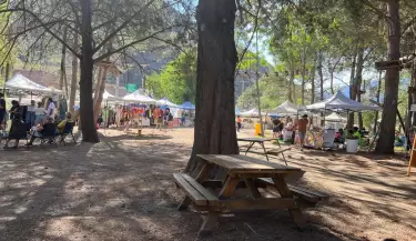 cacheuta