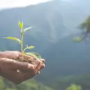 Día de la Tierra: por qué el 22 de abril nos invita a repensar nuestra relación con el planeta
