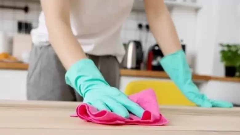 empleadas domesticas