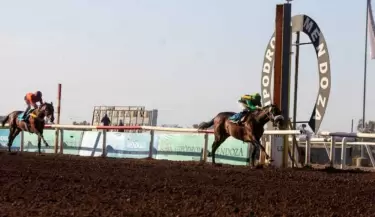 macklin caballo