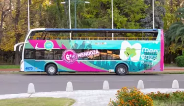 excursiones mendoza