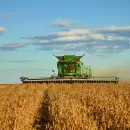 El agro liquid� el mayor ingreso de d�lares para julio desde 2002