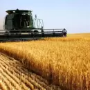 El agro liquid� 32% m�s en abril tras la flexibilizaci�n del cepo
