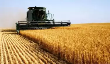 Agro