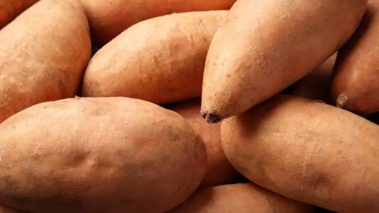 camote