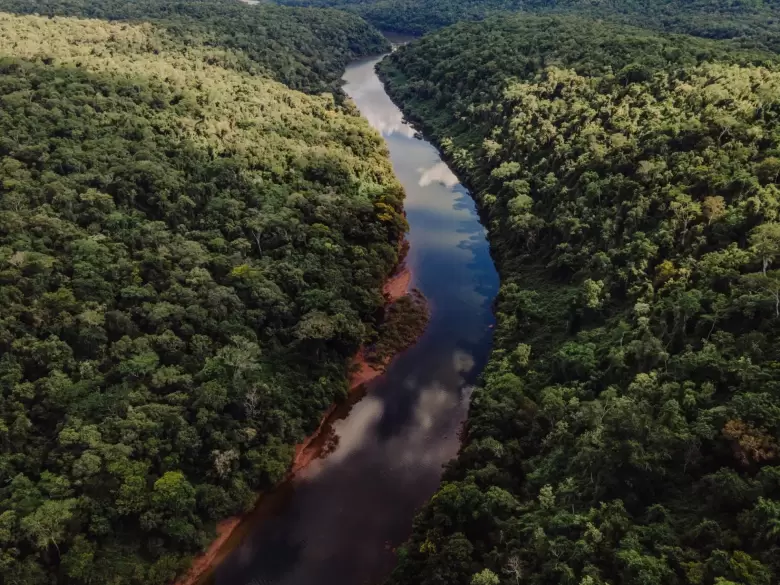 selva misionera argentina
