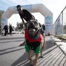 Capital tendrá cortes por la Maratón Animal: cuándo y qué calles evitar