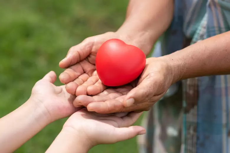 donación