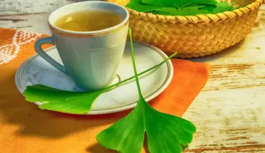 Infusi�n de ginkgo biloba