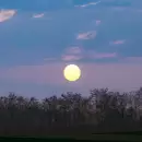 Espectáculo astronómico: cuándo ver la pequeña Luna llena de mayo y por qué es tan única