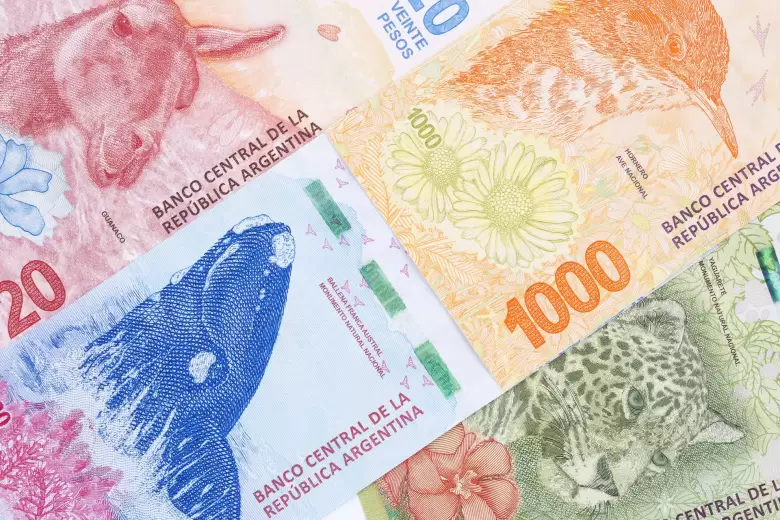 pesos argentinos