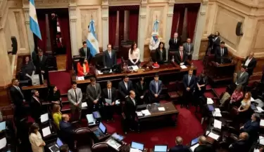 Senado ficha limpia