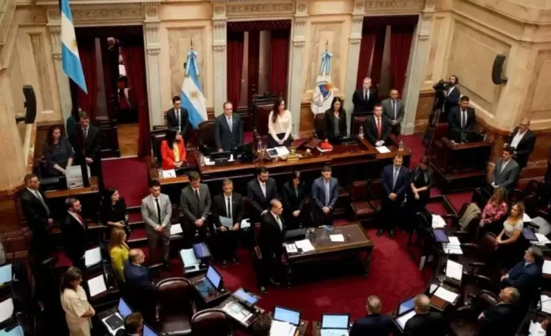 Senado ficha limpia
