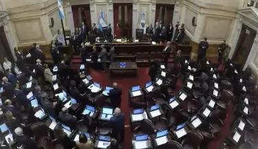 Senado ficha limpia