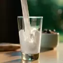 Más que la leche: los alimentos que sorprenden por su alto contenido de calcio