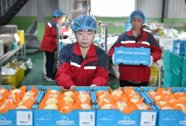 Peras chinas en Argentina