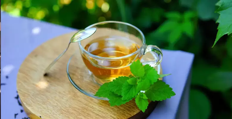 te de menta