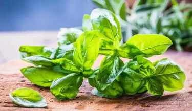 Descubr� los beneficios de incluir la albahaca en tu rutina diaria.
