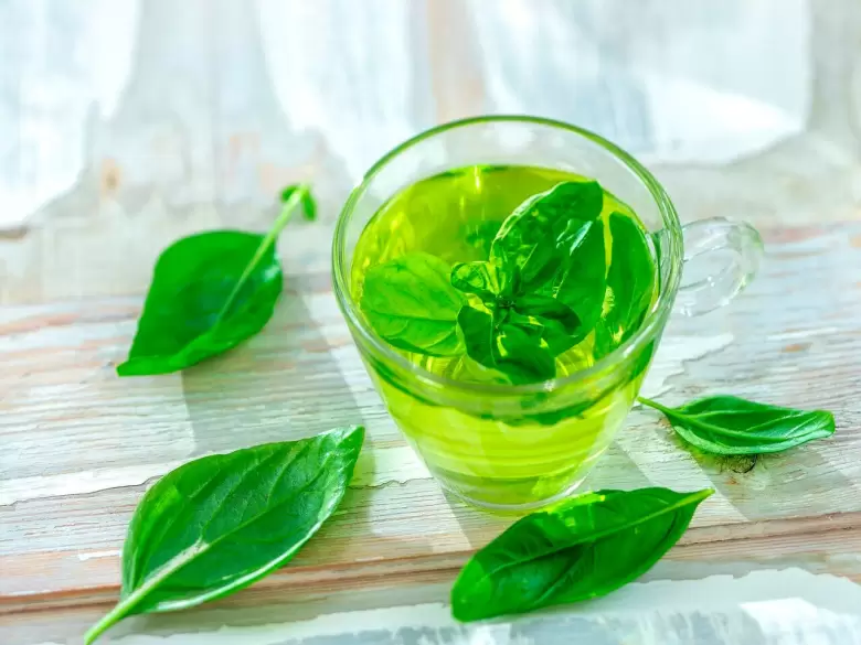 te de albahaca