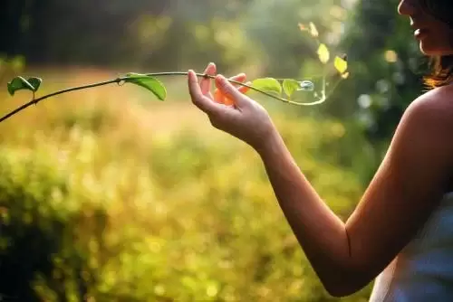 naturaleza