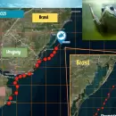 El tortugo Jorge sigue su ruta de libertad: ya recorrió más de 1.300 kilómetros y llegó a Porto Alegre