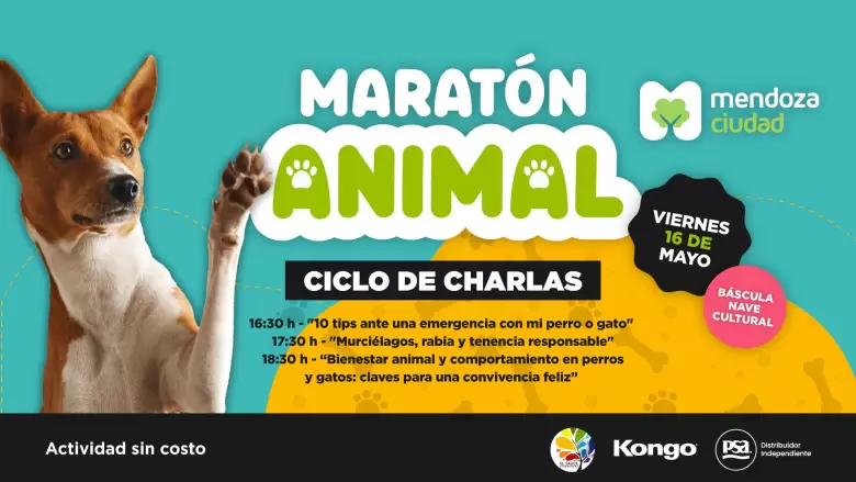 marat�n animal