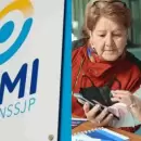 El PAMI cubre el 100% de los suplementos nutricionales: c�mo y qui�nes pueden acceder