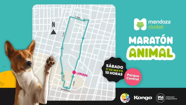 maratón animal