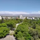 Quién puede podar el arbolado público en Mendoza: reglas y permisos obligatorios