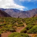 Ocho pueblos argentinos compiten por un premio internacional de turismo rural: Uspallata es uno de ellos