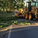 Los daños que dejó el fuerte Zonda en Mendoza: accidentes, cables cortados y hasta incendios