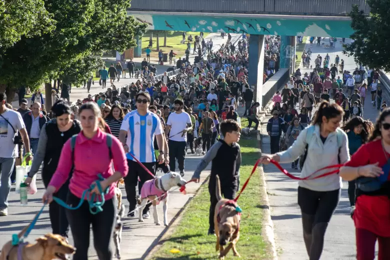 Maratón Animal