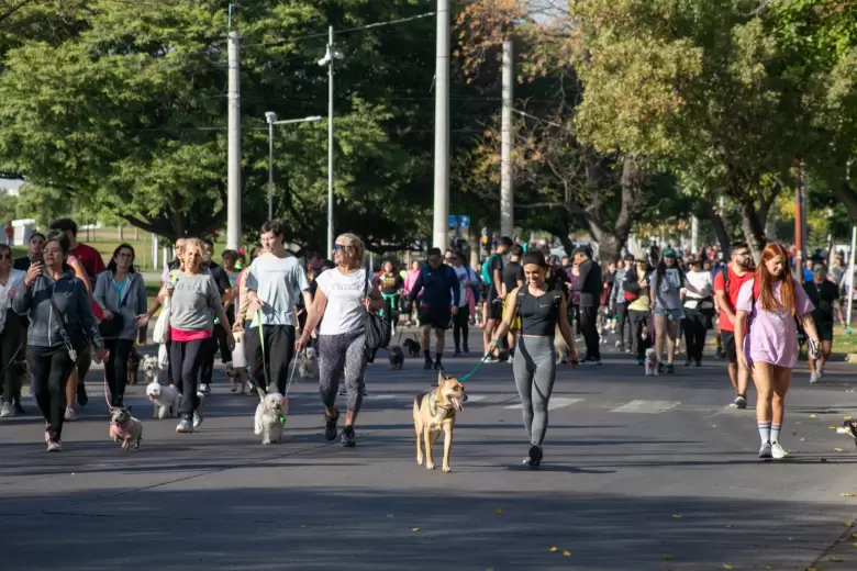 Maratón Animal