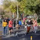 M�s de 2.000 perros y sus familias disfrutaron de la Marat�n Animal 2025 en Ciudad