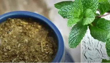 La menta en el mate: conoc� los beneficios