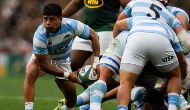 los pumas