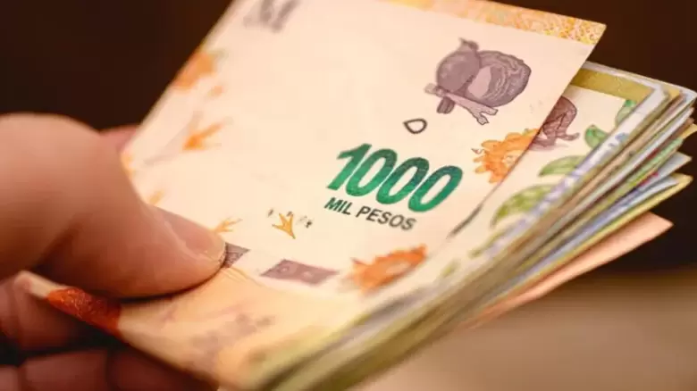 pagos anses capital humano