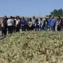 La Municipalidad de Guaymallén lanzó un bus tour para visitar espacios productivos y gastronómicos