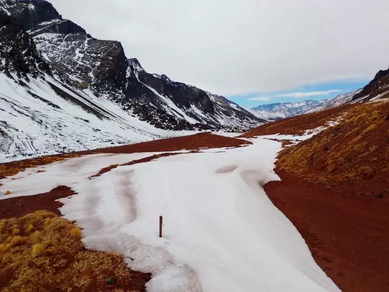 Nevadas