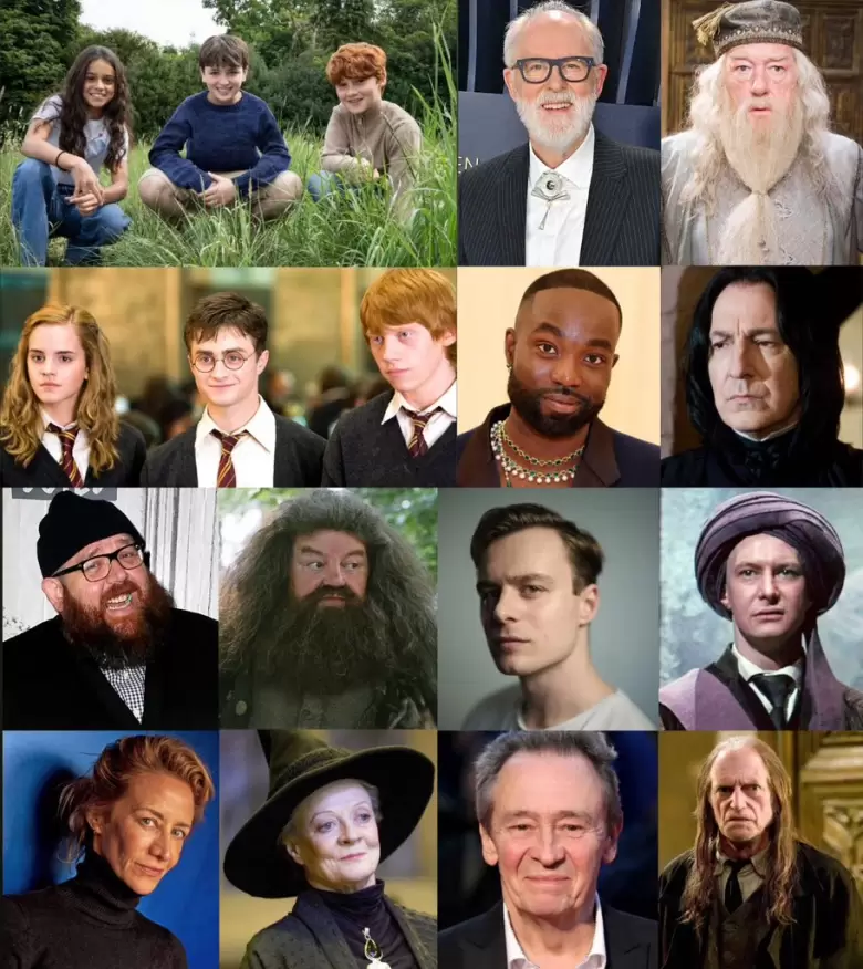 cast serie harry potter
