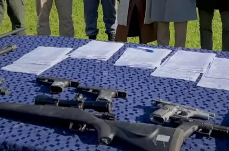 Armas recuperadas (redes)